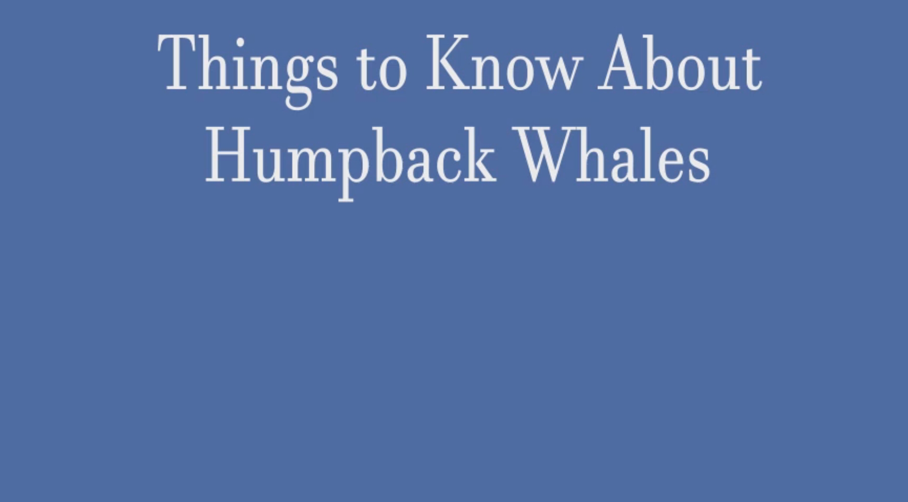 Humpbacks